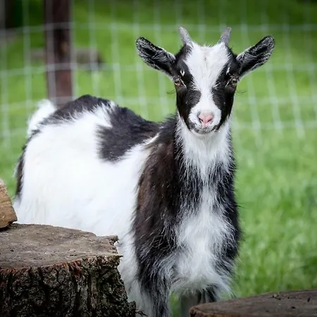 De Wijnlodge *