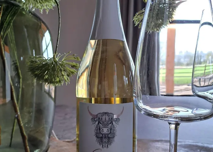 De Wijnlodge Semesterbostad *