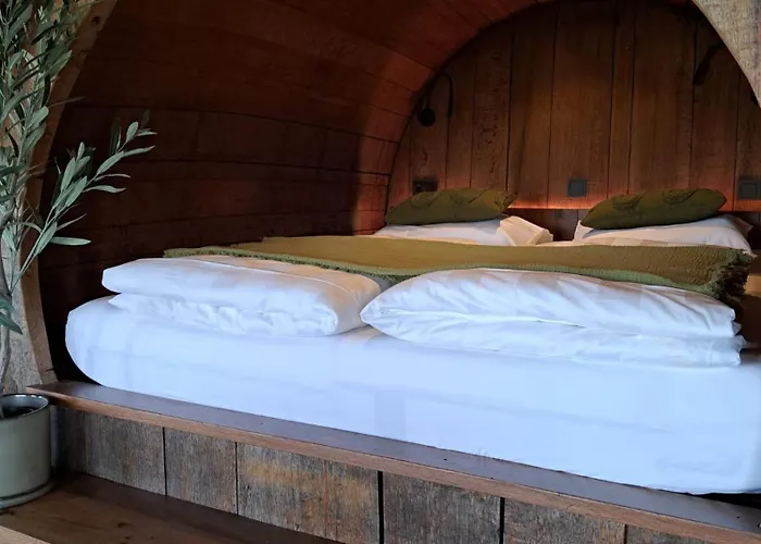 Semesterbostad De Wijnlodge *