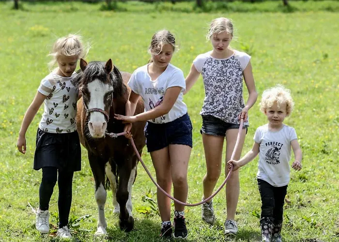 De Wijnlodge Semesterbostad