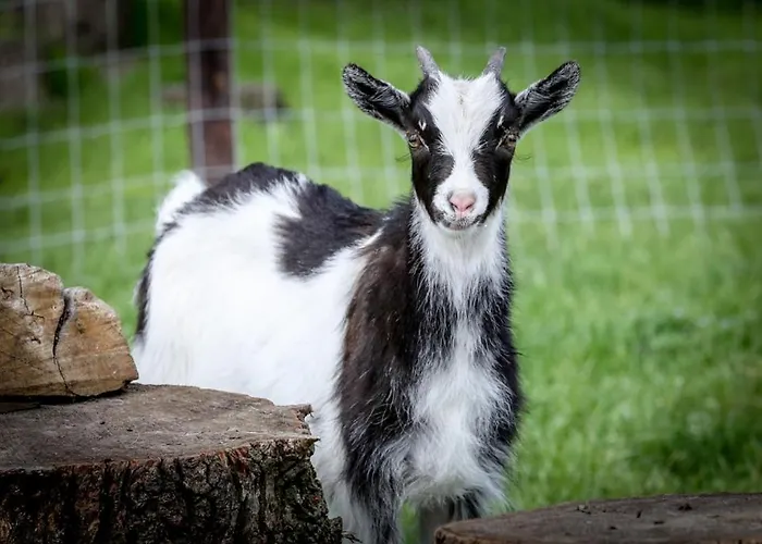 De Wijnlodge Kootwijkerbroek