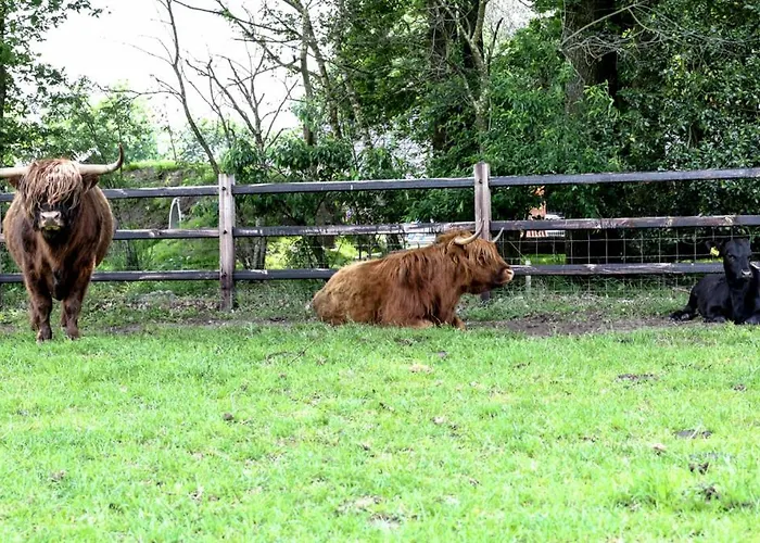 Semesterbostad De Wijnlodge Kootwijkerbroek